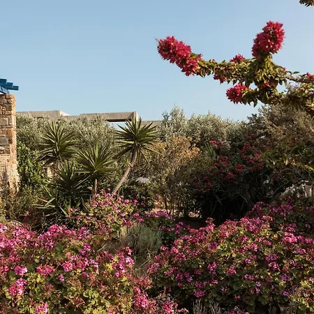 Aurea Blu 03, Pure Nature, Quiet, Sun, Алико-Бич